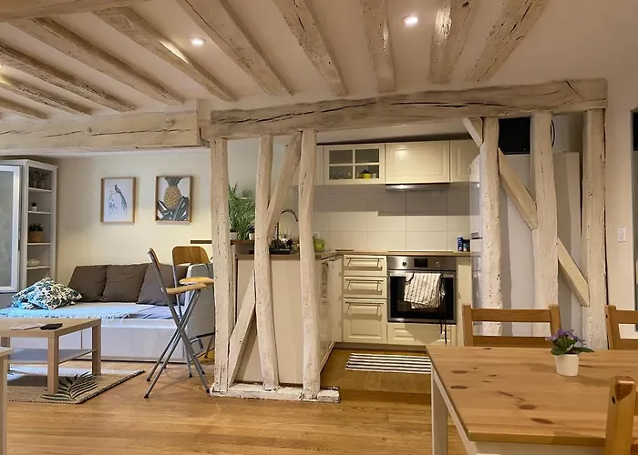 Le Ptit Cosy Versaillais 42Sqm Apartment -